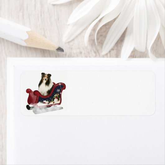 Magic Sleigh Sheltie Etiket (Insitu)