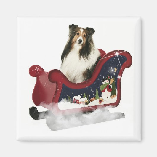Magic Sleigh Sheltie Magneet (Voorkant)