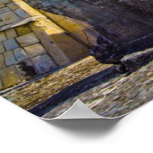 Magic Warrior Poster (Hoek)