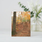 Magic Wood Stairs Briefkaart (Staand voorkant)