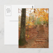Magic Wood Stairs Briefkaart (Voorkant / Achterkant)
