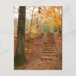 Magic Wood Stairs Briefkaart