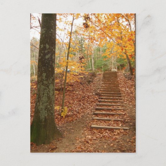 Magic Wood Stairs Briefkaart (Voorkant)