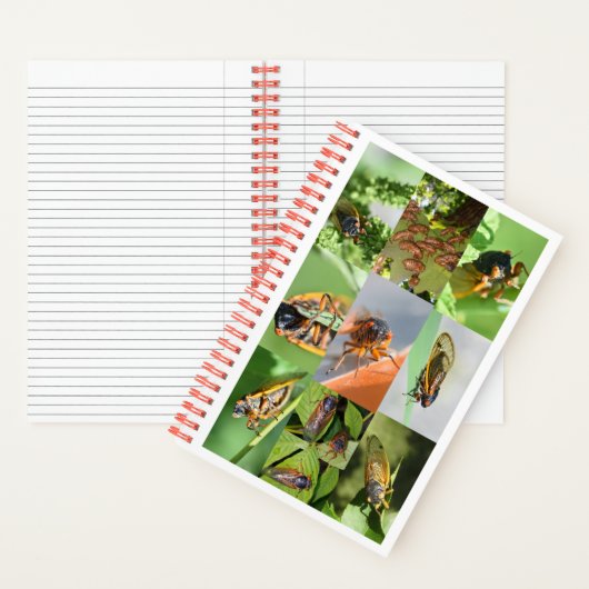 Magicada Cicada Notitieboek voor 2024 (Binnen)