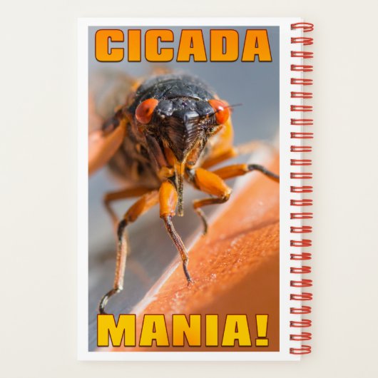Magicada Cicada Notitieboek voor 2024 (Achterkant)