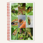 Magicada Cicada Notitieboek voor 2024 (Voorkant)