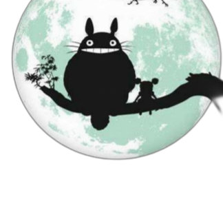 Magical Adventures with Totoro Kinder Shirts