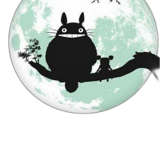 Magical Adventures with Totoro Kinder Shirts