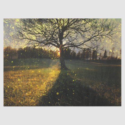 Magical fireflies dreamy landscape tissuepapier (Voorkant)