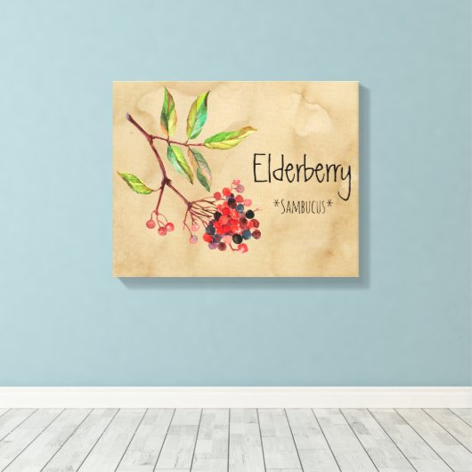 Magical Flowers Elderberry 16,14' x 12,86' Canva Canvas Afdruk (Insitu (Houten vloer))