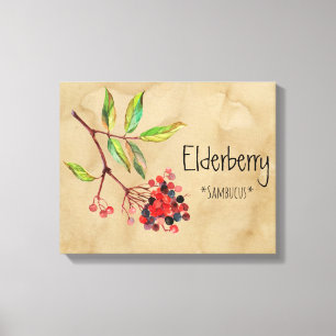 Magical Flowers Elderberry 16,14' x 12,86' Canva Canvas Afdruk
