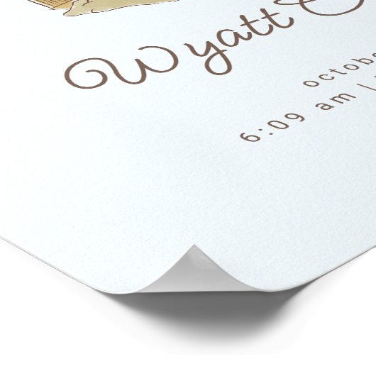 Magical Harry Potter & Hogwarts Baby Birth Stats Poster (Hoek)