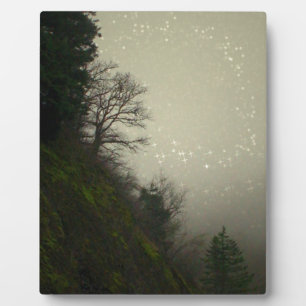 Magical Mist Forest Hill Fotoplaat