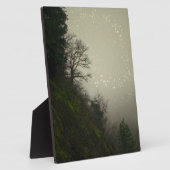 Magical Mist Forest Hill Fotoplaat (Zijkant)