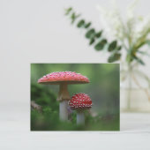 Magical Mushrooms Postcard Briefkaart (Staand voorkant)