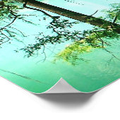 Magical Radium Springs Park Poster (Hoek)