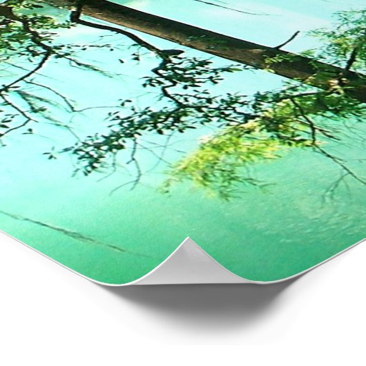 Magical Radium Springs Park Poster (Hoek)