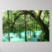 Magical Radium Springs Park Poster (Voorkant)