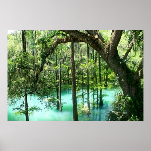 Magical Radium Springs Park Poster (Voorkant)