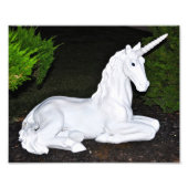 Magical Unicorn Foto Afdruk (Voorkant)