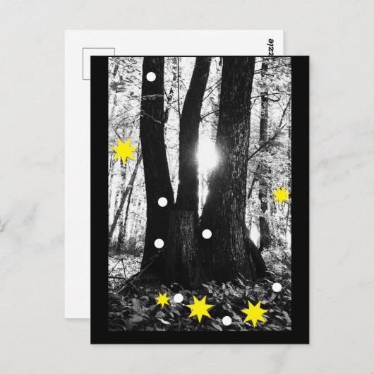 Magical Winter Tree Briefkaart (Voorkant / Achterkant)