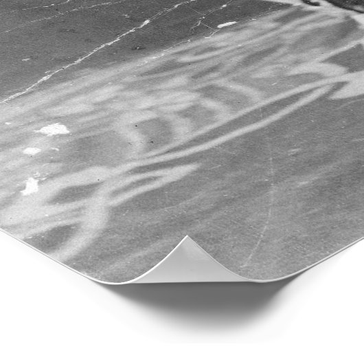 Magiciër Harry Houdini staat in de ketens Poster (Hoek)