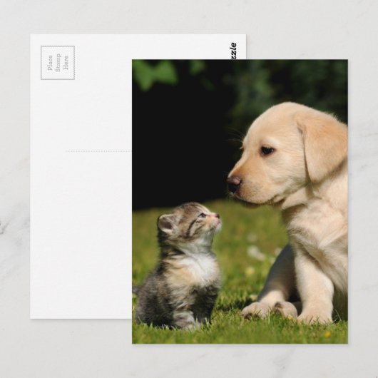 magie en sassie briefkaart (Voorkant / Achterkant)