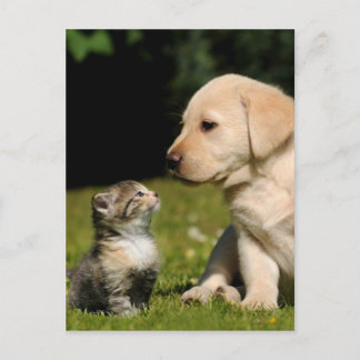 magie en sassie briefkaart