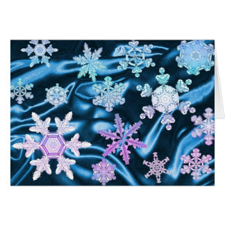 Magie en wonder van sneeuwvlokken #3