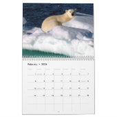 Magie van het Arctisch gebied Kalender (Feb 2026)