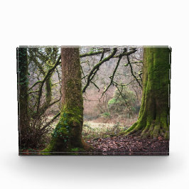Magie van het platteland fotoblokken