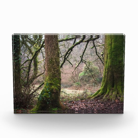 Magie van het platteland fotoblokken (Voorkant)