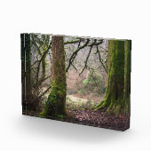 Magie van het platteland fotoblokken (Rechts)