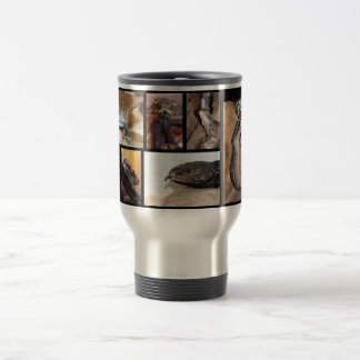 Magies Reptiles Reisbeker