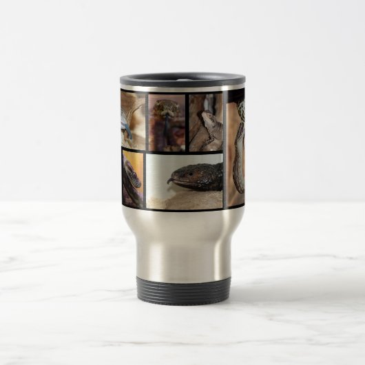 Magies Reptiles Reisbeker (Center)