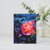  magisch Bevrokken Roze Fantastisch Roos Tuin Briefkaart (Staand voorkant)