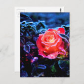  magisch Bevrokken Roze Fantastisch Roos Tuin Briefkaart (Voorkant / Achterkant)