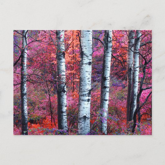 Magisch bos briefkaart (Voorkant)