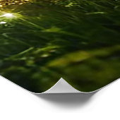 Magisch bos | Elf en Fairies | Fantastische Natuur Poster (Hoek)