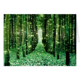 Magisch bos groen mysterie