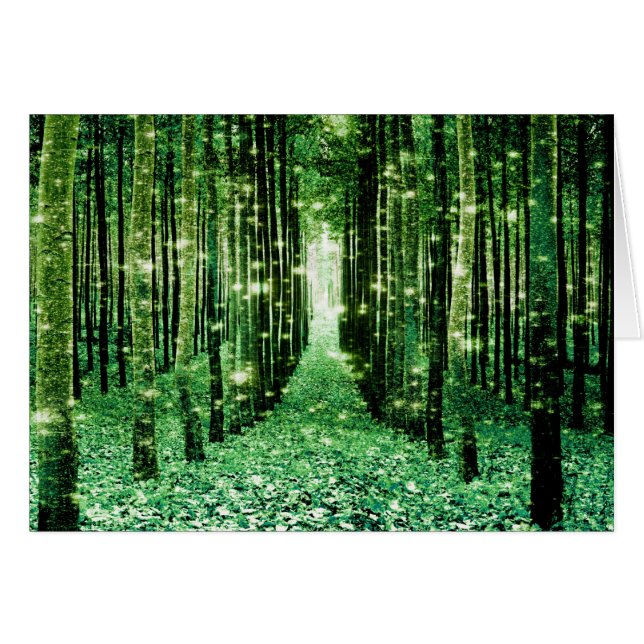 Magisch bos groen mysterie (Voorkant Horizontaal)