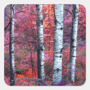 Magisch bos vierkante sticker
