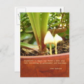 Magisch briefkaart (Voorkant / Achterkant)