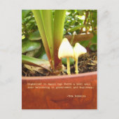 Magisch briefkaart (Voorkant)