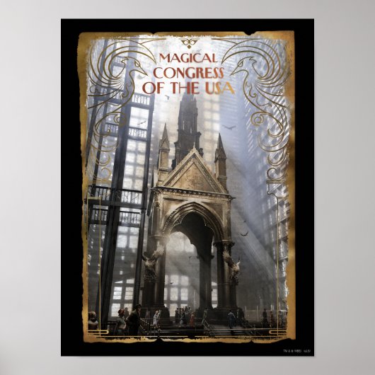 Magisch Congres van de Verenigde Staten Poster (Voorkant)
