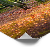 Magisch herfstbos poster (Hoek)