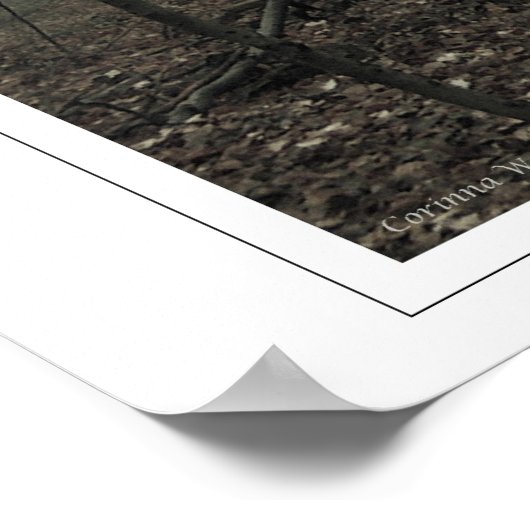 Magisch hout poster (Hoek)