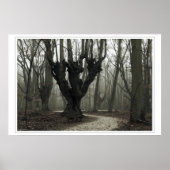 Magisch hout poster (Voorkant)