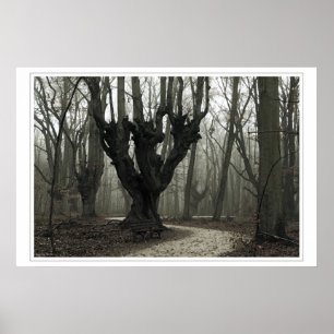 Magisch hout poster