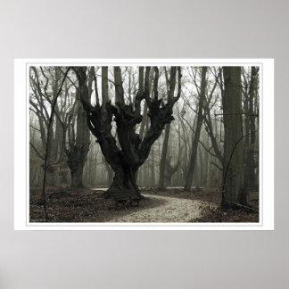 Magisch hout poster